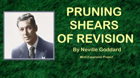 Pruning Shears of Revision